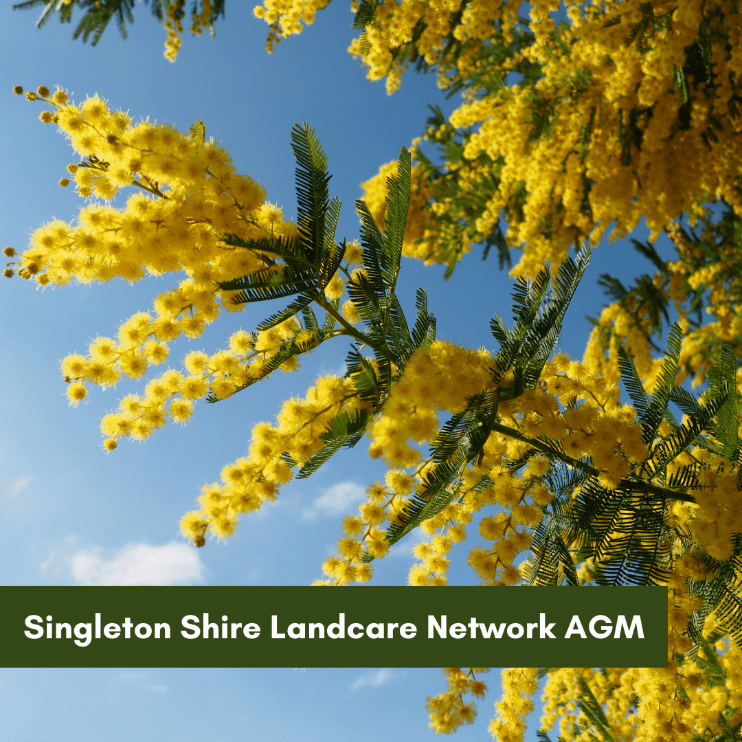 Singleton Shire Landcare Network AGM