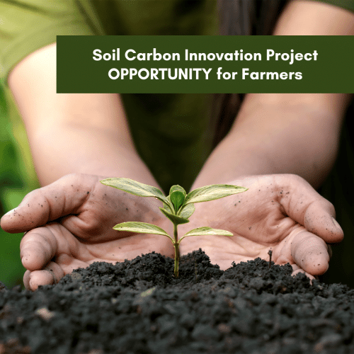 Soil carbon innovation project OPPORTUNITY for farmers.