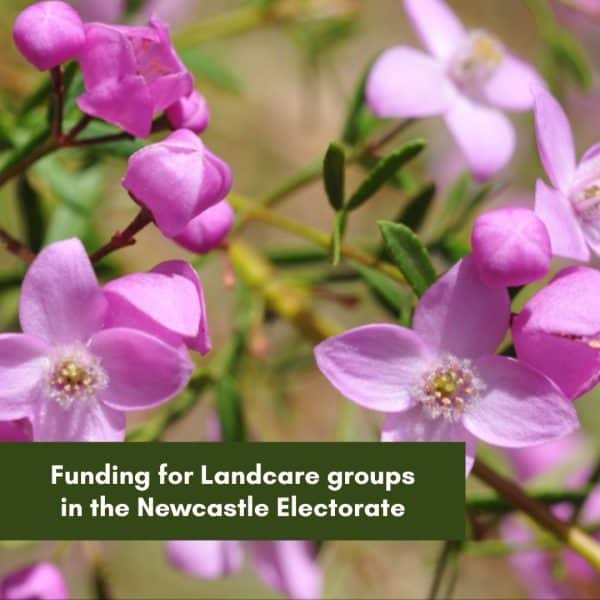 Funding for Landcare groups in the Newcastle Electorate