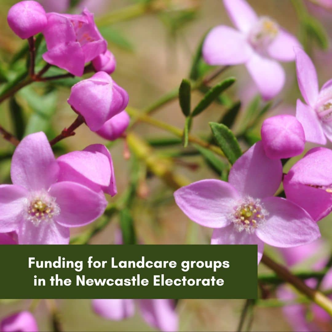 Funding for Landcare Groups in Newcastle