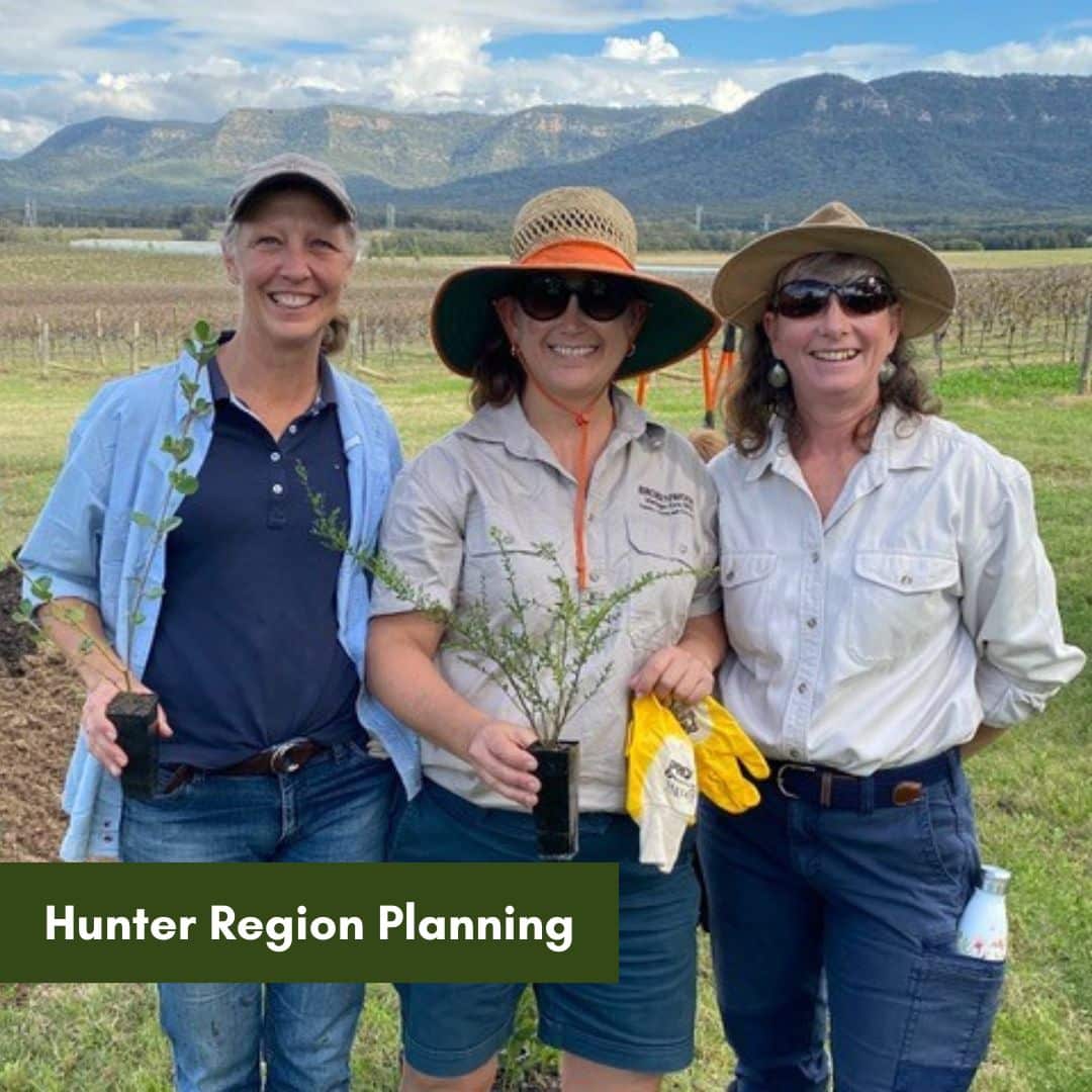 Hunter Region Planning for the next 4 years of the National Landcare Program