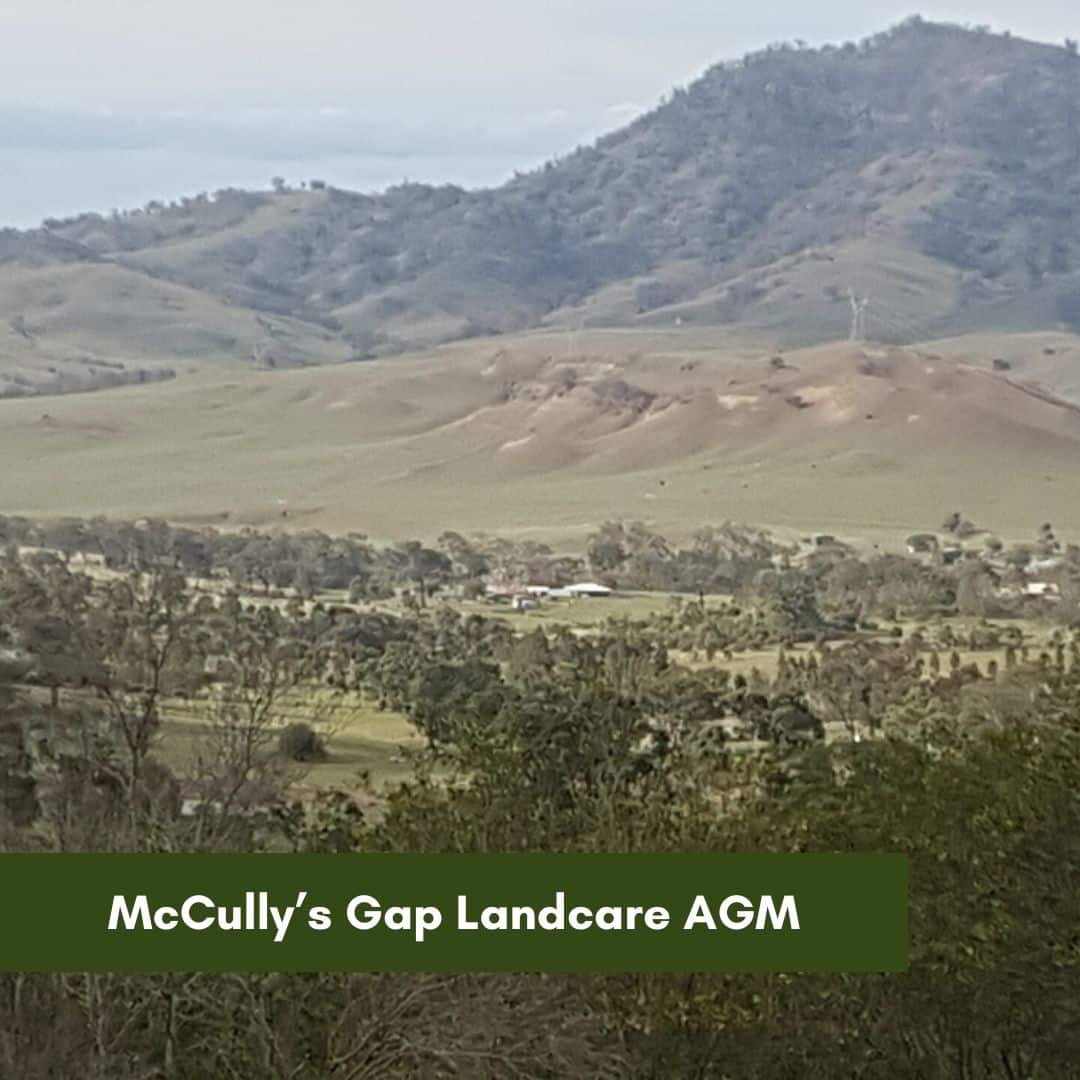 McCully’s Gap Landcare AGM
