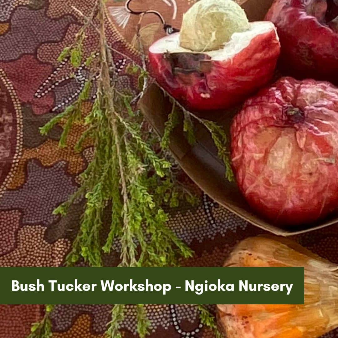 Bush Tucker Workshop Ngioka
