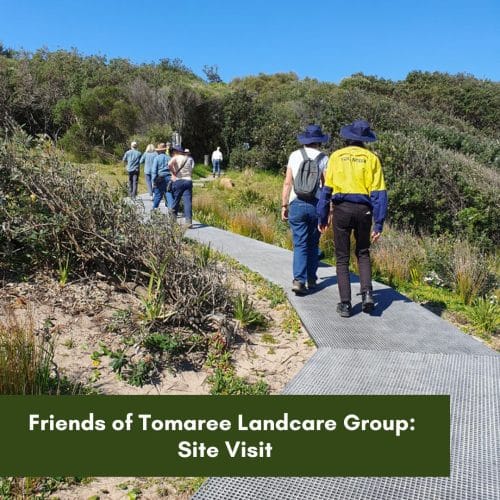 Friends of Tomaree Landcare Group – Site Visit