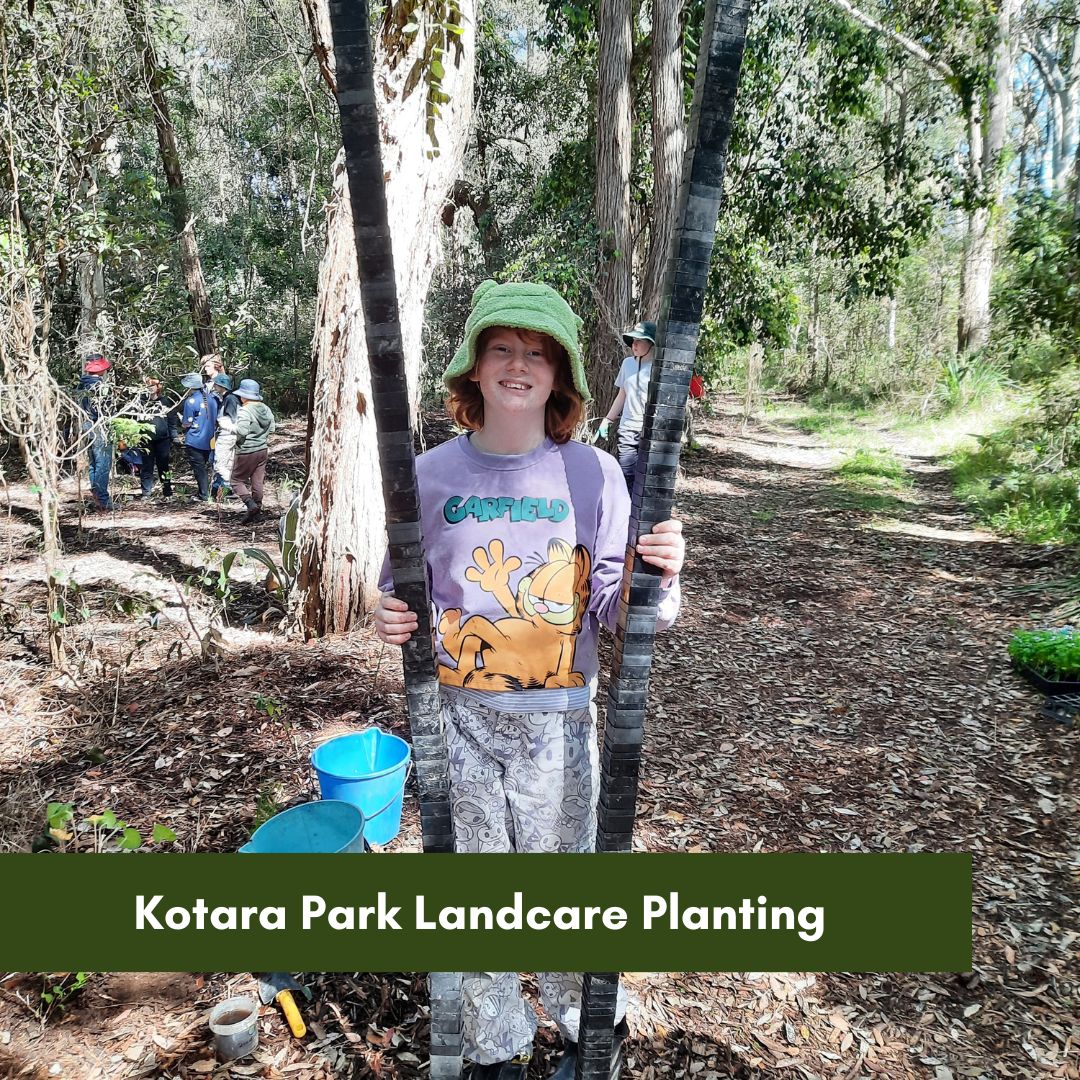 Kotara Park Landcare Planting