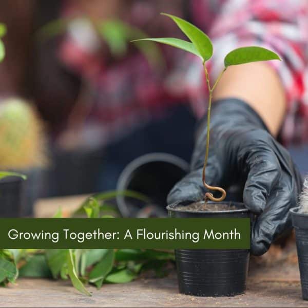 Growing Together: A Flourishing Month for Landcare Plant Distribution!