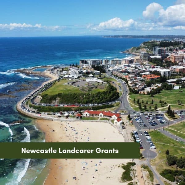 Are you a Landcarer in the Newcastle Electorate?