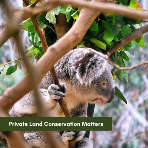 Private Land Conservation Matters