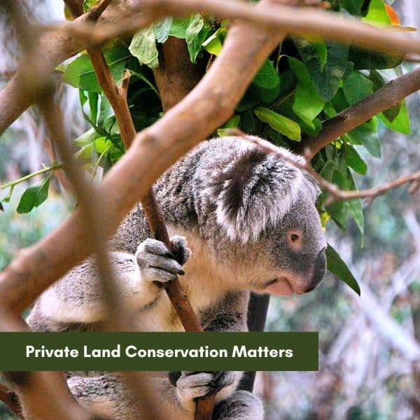 Private Land Conservation Matters