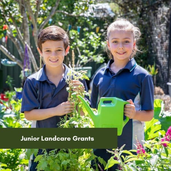 Junior Landcare Grants now open!
