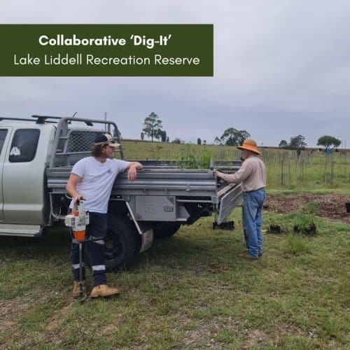 Collaborative ‘Dig-It’- Lake Liddell Recreation Reserve
