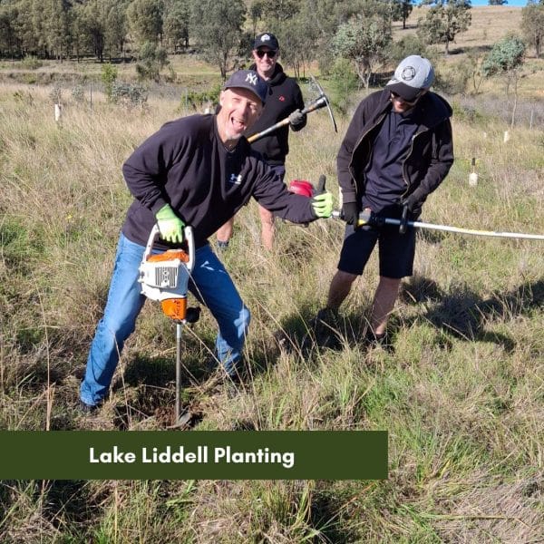 Lake Liddell Planting