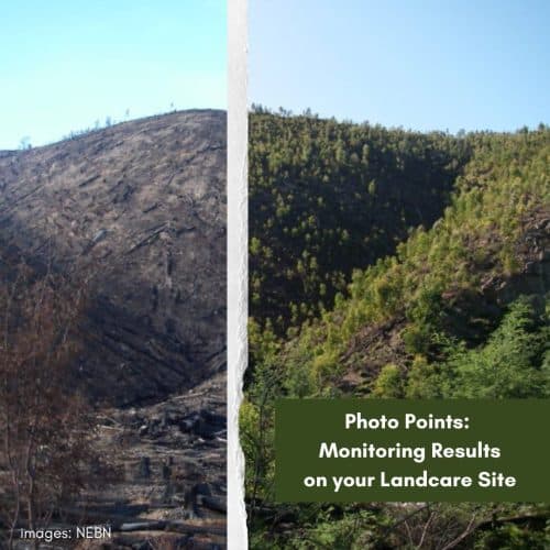 Photo Points: Monitoring Results on your Landcare Site