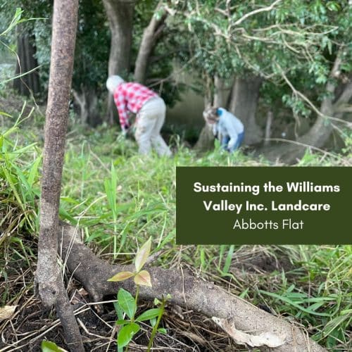 Abbotts Flat Update – Sustaining the Williams Valley Inc. Landcare