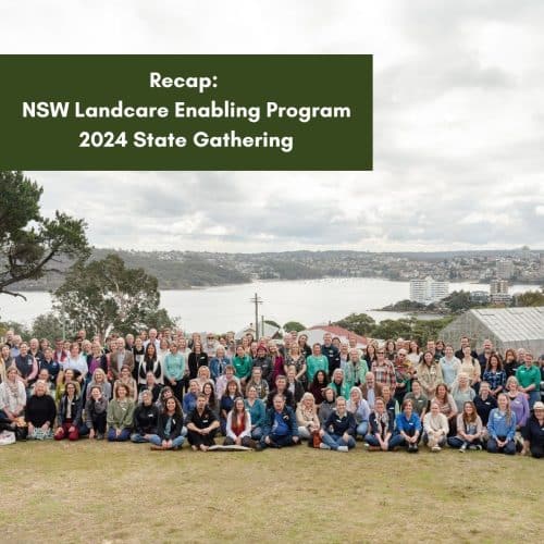 Recap: NSW Landcare Enabling Program 2024 State Gathering