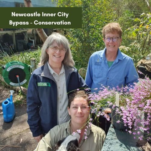 Newcastle Inner City Bypass – Conservation